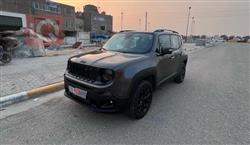 جيب رينيجيد